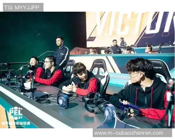 2026年3月份新闻和平精英战场上的默契配合WE战队团队协作的深度解析与探讨